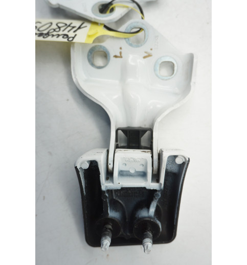 9820032180  9820029280 Peugeot Expert  Türscharnier hinten links ob+un -14809-