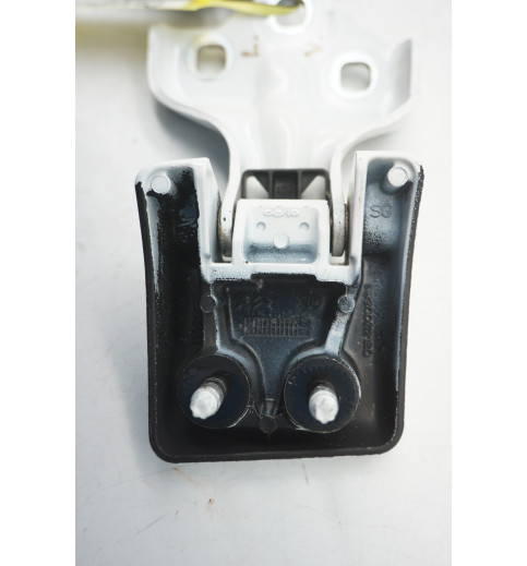 9820032180  9820029280 Peugeot Expert  Türscharnier hinten links ob+un -14809-