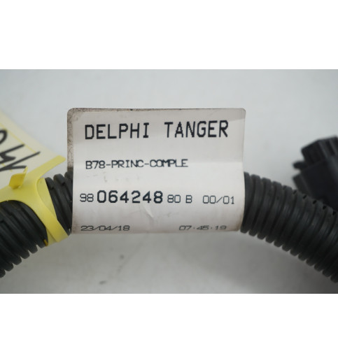 9806424880  Peugeot Expert  Kabel Start Stop  -14816-