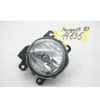 89211690 9687410080 Peugeot Expert Nebelscheinwerfer Nebelleuchte Vorne R-14835-