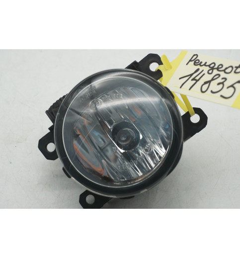 89211690 9687410080 Peugeot Expert Nebelscheinwerfer Nebelleuchte Vorne R-14835-