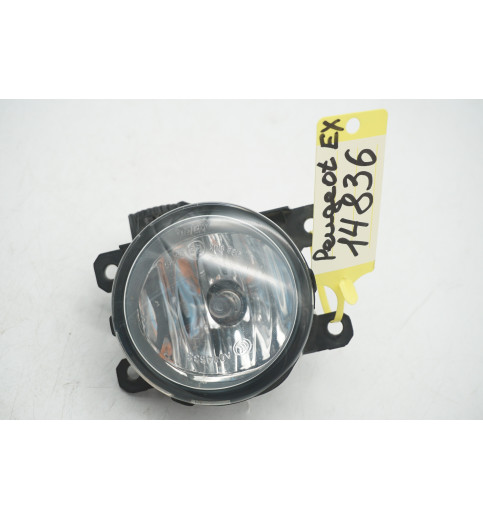 89211690 9687410080 Peugeot Expert Nebelscheinwerfer Nebelleuchte Vorne L-14836-