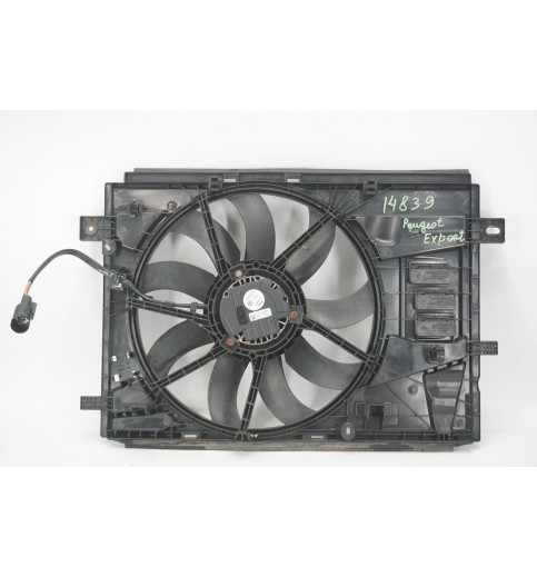 Peugeot 980589748001 Peugeot Expert  Kühlerlüftermotor   -14839- Sonstige