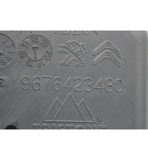 Peugeot 9676423480 Peugeot Expert  Luftfilterkasten  -14842- Luftfilterkästen