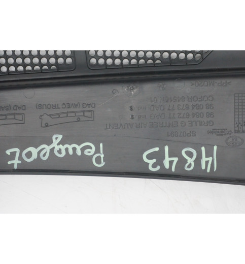 9808467277 9808467377 Peugeot Expert  Wasserkasten Windlauf -14843-
