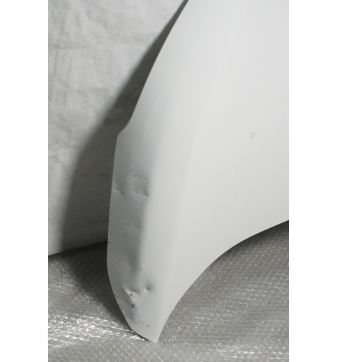  Peugeot Expert  Motorhaube Frontdeckel Frontklappe Haube  -14852-