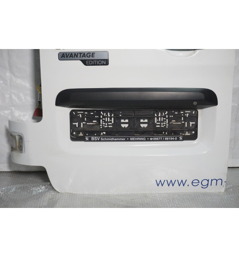 Peugeot Peugeot Expert  Tür Hecktürflügel links   -14863- Türen & Türenbleche