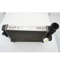P9806562180 Peugeot Expert  Ladeluftkühler  -14870-