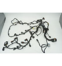 9806852980 9800137480 Peugeot Expert  Motorkabelbaum Leitungssatz  -14895-