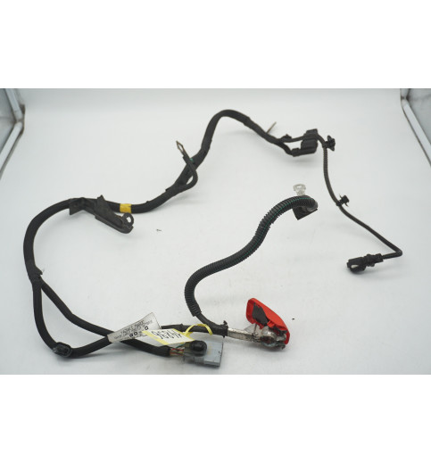 9809910980  Peugeot Expert  Kabelbaum Stecker Pluskabel  -14896-