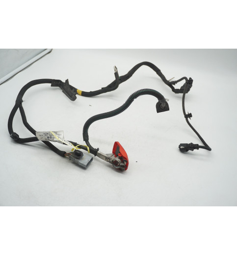 9809910980  Peugeot Expert  Kabelbaum Stecker Pluskabel  -14896-