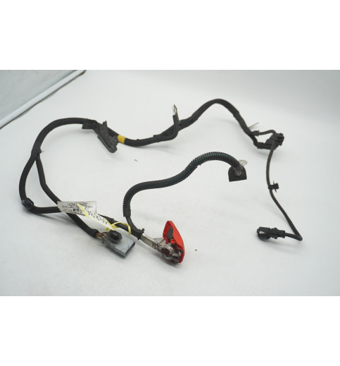 9809910980  Peugeot Expert  Kabelbaum Stecker Pluskabel  -14896-