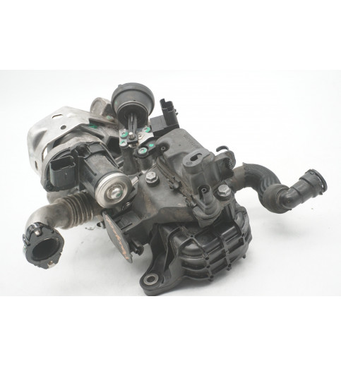 9805069780 70819372  Peugeot Expert Diesel AGR-Ventil Abgasrückführung  -14900-