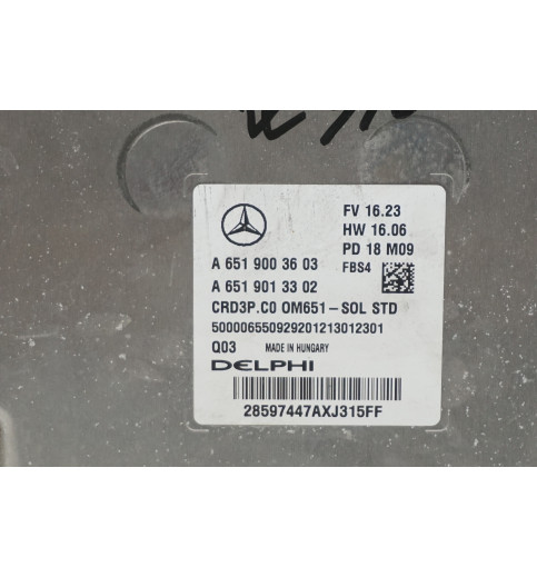  A6519003603 A651901330 Mercedes  W907-910 Motorsteuergerät CRD3P,C0  -14915-