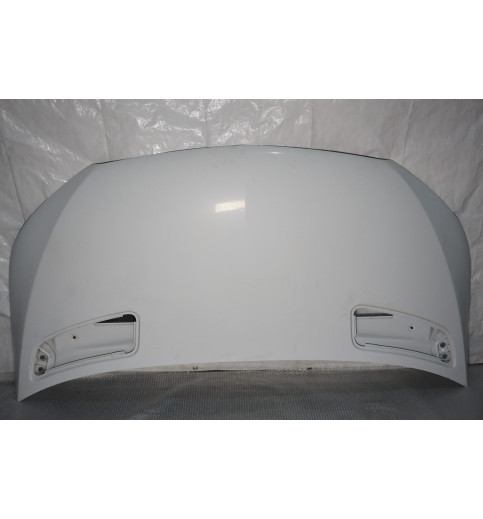 A9078806000 A9108872600 Mercedes W907-910 Motorhaube Kühlerhaube weiß  -14963-