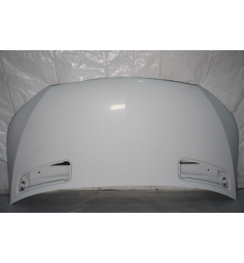 A9078806000 A9108872600 Mercedes W907-910 Motorhaube Kühlerhaube weiß  -14963-