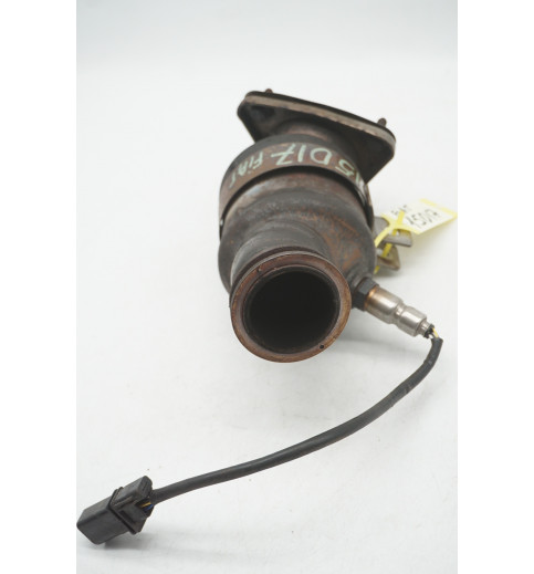 1366660080 Fiat Ducato Katalysator  -15017-