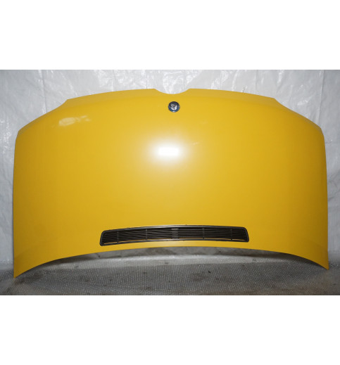Mercedes Sprinter W901,W902,W903,W904,W905 Motorhaube -15032-