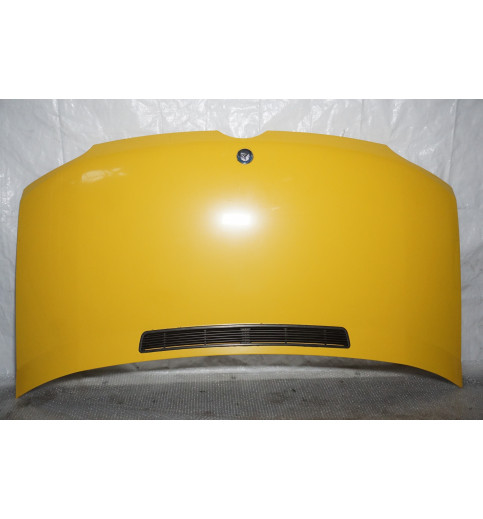 Mercedes Sprinter W901,W902,W903,W904,W905 Motorhaube -15032-