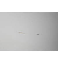 Mercedes Sprinter W906 VW Crafter Tür Hecktür hinten Links -15036-