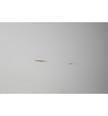 Mercedes Sprinter W906 VW Crafter Tür Hecktür hinten Links -15036-