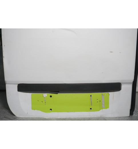 Mercedes Sprinter W906 VW Crafter Tür Hecktür hinten Links -15036-