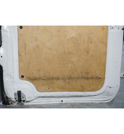 Mercedes Sprinter W906 VW Crafter Tür Hecktür hinten Links -15037-
