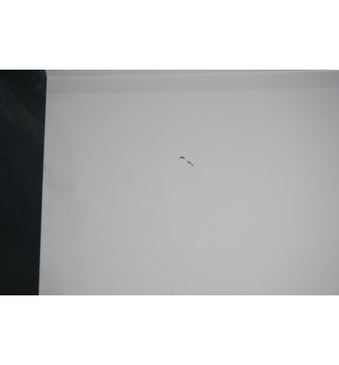 Sprinter W910 Schiebetür Seitentür Reschts Höche221cm Breite151cm -15039-