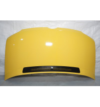 Mercedes Sprinter W901,W902,W903,W904,W905 Motorhaube  -15080-