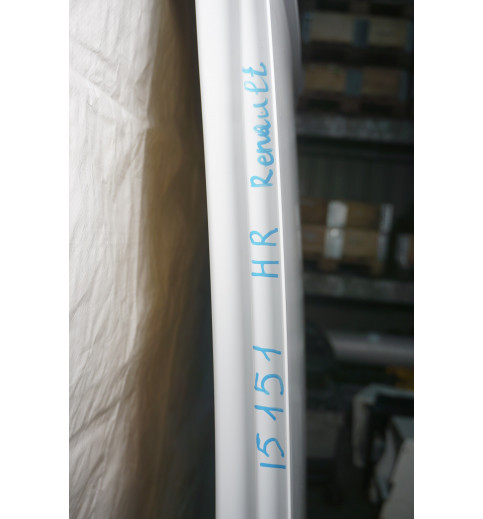 Renault Master 3 Opel Movano Tür Hecktür hinten rechts