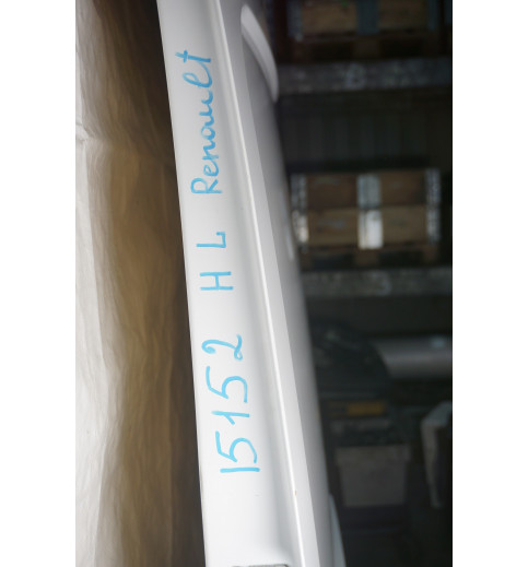 Renault Master 3 Opel Movano Tür Hecktür hinten links