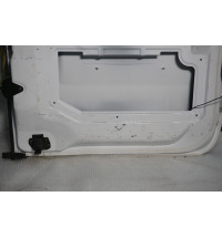 Renault Master 3 Opel Movano Tür Hecktür hinten links