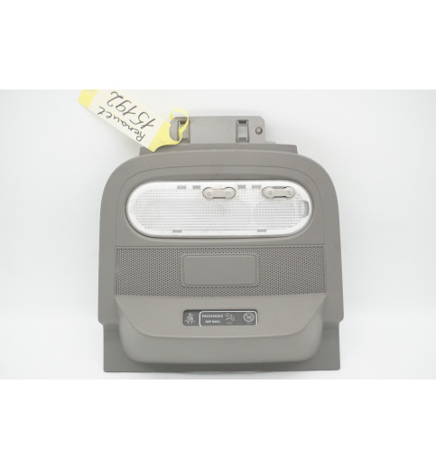 969820881R 969821058R Renault Master III  Innenraumbeleuchtung 