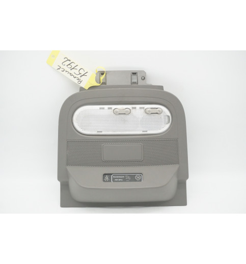 969820881R 969821058R Renault Master III  Innenraumbeleuchtung 