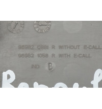 969820881R 969821058R Renault Master III  Innenraumbeleuchtung 