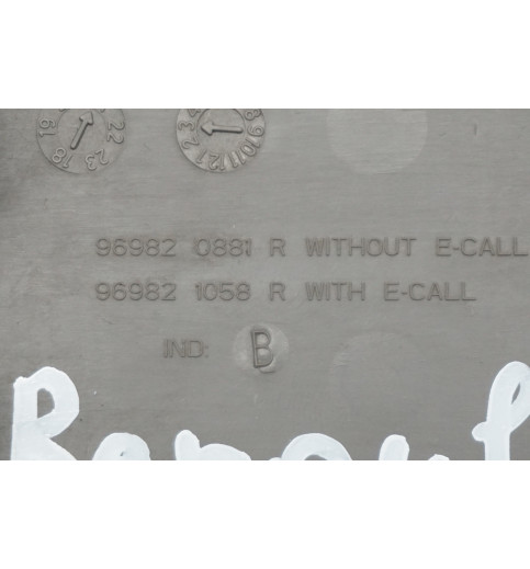 969820881R 969821058R Renault Master III  Innenraumbeleuchtung 