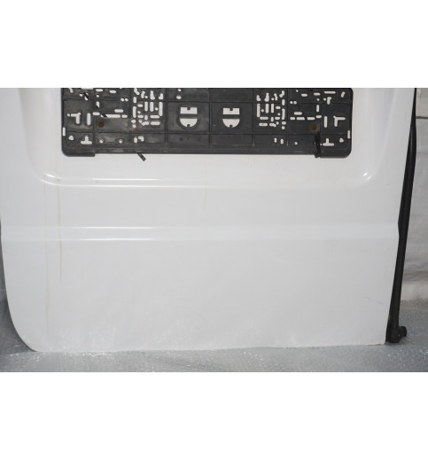 Mercedes Vito W639 Heckklappe Hecktür Hinten Tür Links