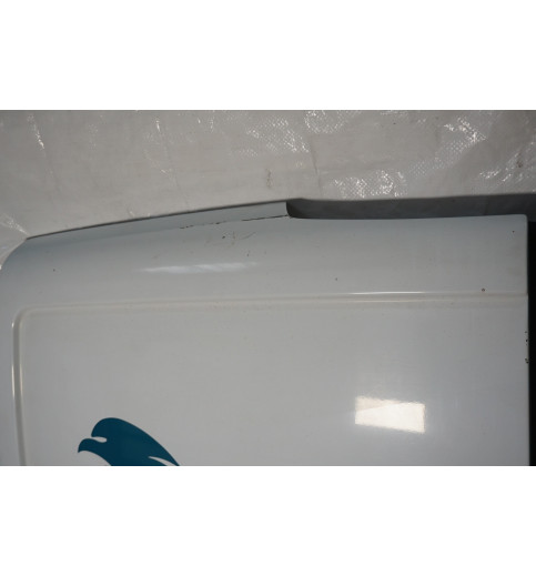 Mercedes Vito W639 Heckklappe Hecktür Hinten Tür Links