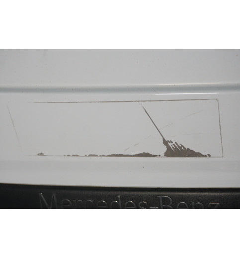 Mercedes Vito W639 Heckklappe Hecktür Hinten Tür Links