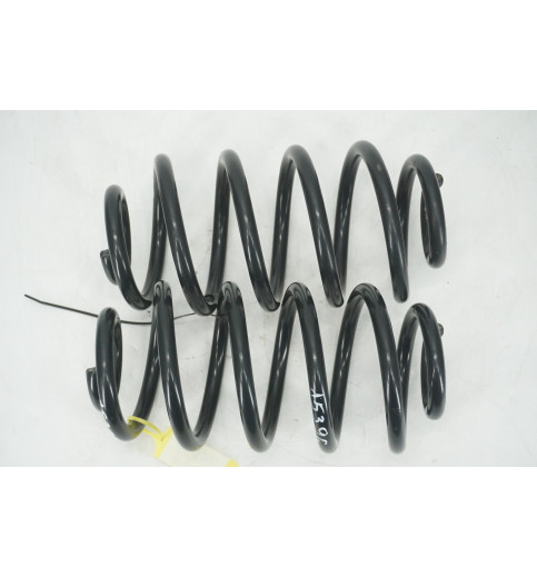 Mercedes Vito W639 Federn hinten 2St