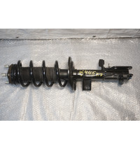 PZ3118045AC 7TG413031 7TG411105  VW Transporter T7 Stoßdämpfer rechts vorne 