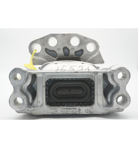 PZ316F012AB 7TG199262  VW Transporter T7  Motorlager