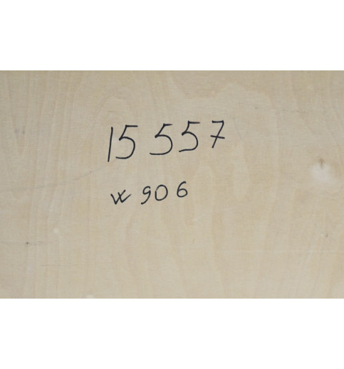 Sprinter W906 Schiebetür Seitentür Reschts Höche 218cm Breite151cm