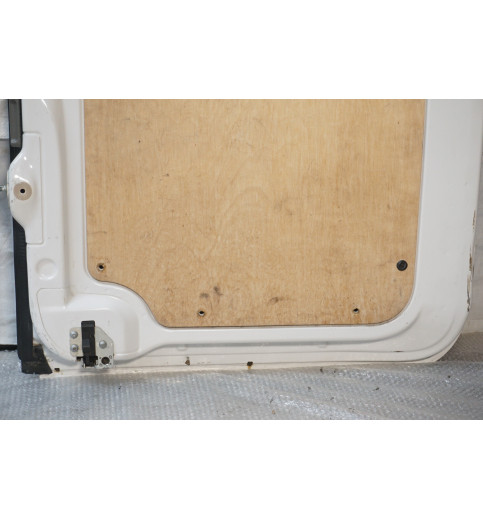  VW Crafter Mercedes Sprinter W906 Tür Hecktür hinten Links