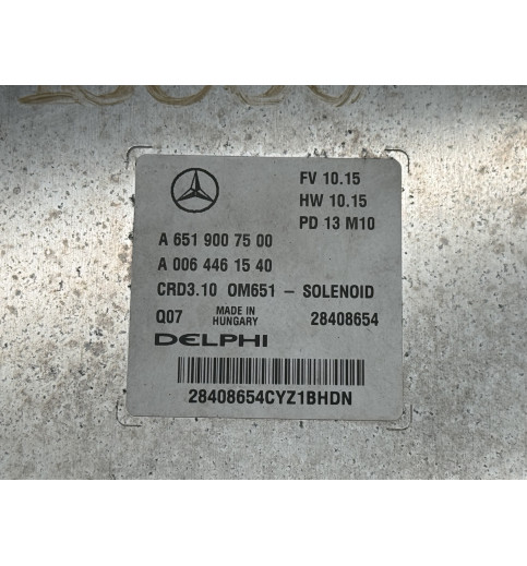 A6519007500 Mercedes OM651 Motorsteuergerät Delphi CRD3.10 A0064461540 A6519007500 Mercedes OM651 Motorsteuergerät Delphi CRD3.10 A0064461540